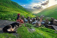 Объехавший Грузию на велосипеде путешественник назвал местных жителей жадными жуликами Объехавший Грузию на велосипеде путешественник назвал местных жителей жадными жуликами