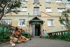 Россиянка пожила за границей и описала порядки на родине словами «противно вспоминать» Россиянка пожила за границей и описала порядки на родине словами «противно вспоминать»
