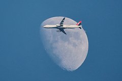 Самолет с россиянами на борту объявил аварийную тревогу в небе Самолет с россиянами на борту объявил аварийную тревогу в небе