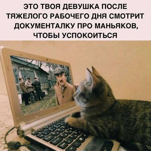 Почему женщины чаще мужчин смотрят фильмы про маньяков Почему женщины чаще мужчин смотрят фильмы про маньяков