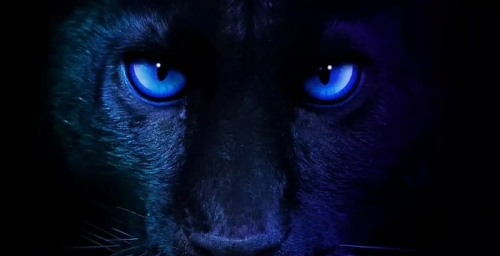 Intel подтвердила запуск Panther Lake в рамках выставки CES 2026 Intel подтвердила запуск Panther Lake в рамках выставки CES 2026