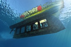 В Египте вынесли приговор капитану затонувшего в марте батискафа с россиянами В Египте вынесли приговор капитану затонувшего в марте батискафа с россиянами