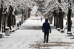 21-летнюю студентку попытались затащить в кусты и изнасиловать в Риме
