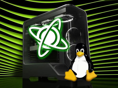NVIDIA ищет разработчиков для повышения игровой производительности в Linux