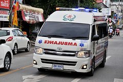 Поездка в зоопарк Таиланда закончилась для пары российских туристов в реанимации Поездка в зоопарк Таиланда закончилась для пары российских туристов в реанимации