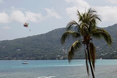 Россиянка вернулась с отдыха на Сейшелах с лихорадкой чикунгунья