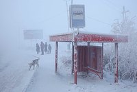 Российская тревел-блогерша описала США словами «-10 и снег — повод для тревоги» Российская тревел-блогерша описала США словами «-10 и снег — повод для тревоги»