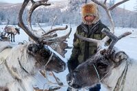 Российская тревел-блогерша описала США словами «-10 и снег — повод для тревоги» Российская тревел-блогерша описала США словами «-10 и снег — повод для тревоги»