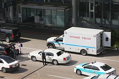Пассажир спрятал в багаже тушу обезьяны и был пойман в аэропорту США