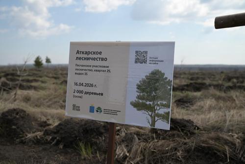  В Саратовской области прошла акция по лесовосстановлению
