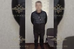 В российском регионе подожгли лес сигнальной ракетой